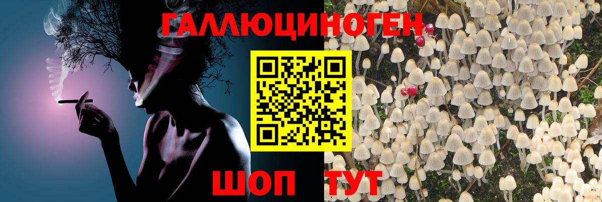 Псилоцибиновые грибы GOLDEN TEACHER Каменск-Шахтинский