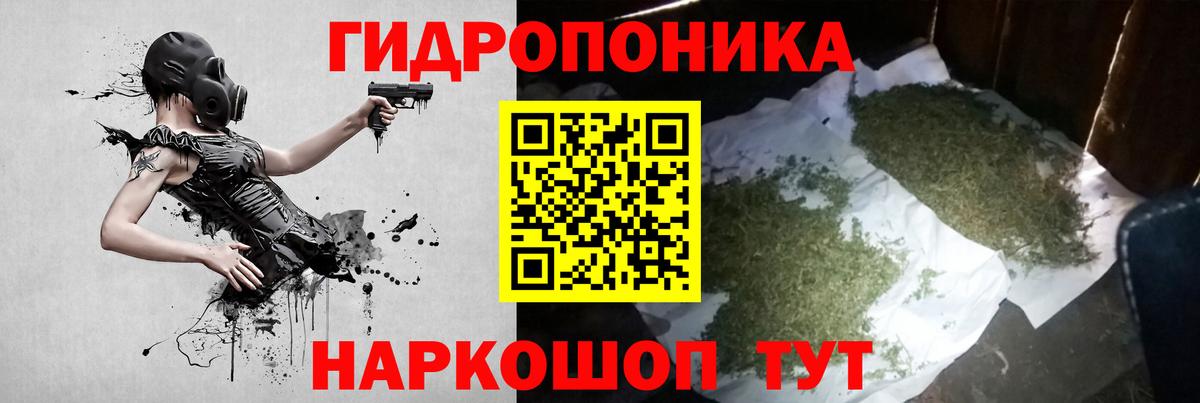 Шишки марихуана план Каменск-Шахтинский